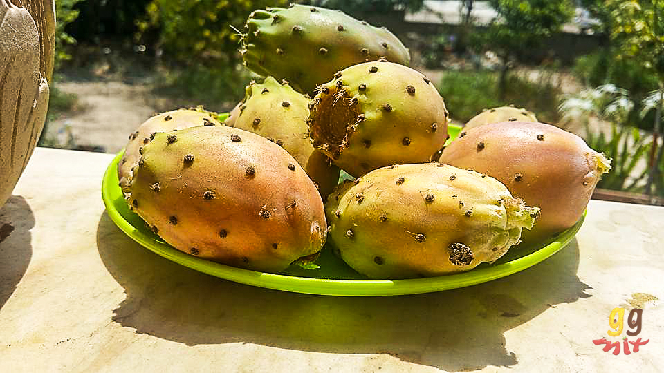 A PLATE OF PAPOUTSOSIKA - PRICKLY PEAR